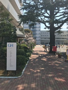 グリーンホール2