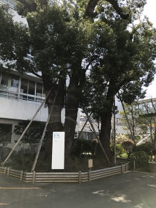 初等部2