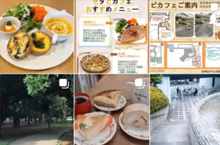 【プロジェクト型協働インターンシップ】 美術館カフェ・プロデュース～舞台は自然あふれる世田谷～