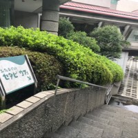 セタビカフェ入り口
