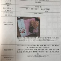 調査①で作成したコンセプトシート