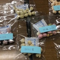 7色のころころあられ試作品
